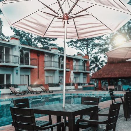 Hotel Y Restaurante Meson Del Gitano Caucasia エクステリア 写真