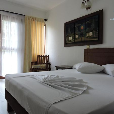Hotel Y Restaurante Meson Del Gitano Caucasia 部屋 写真